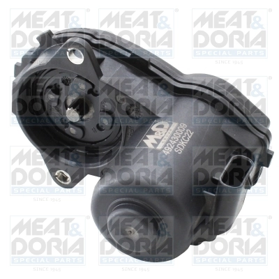 Control Element, parking brake caliper